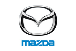 Dynamic Auto Performance
